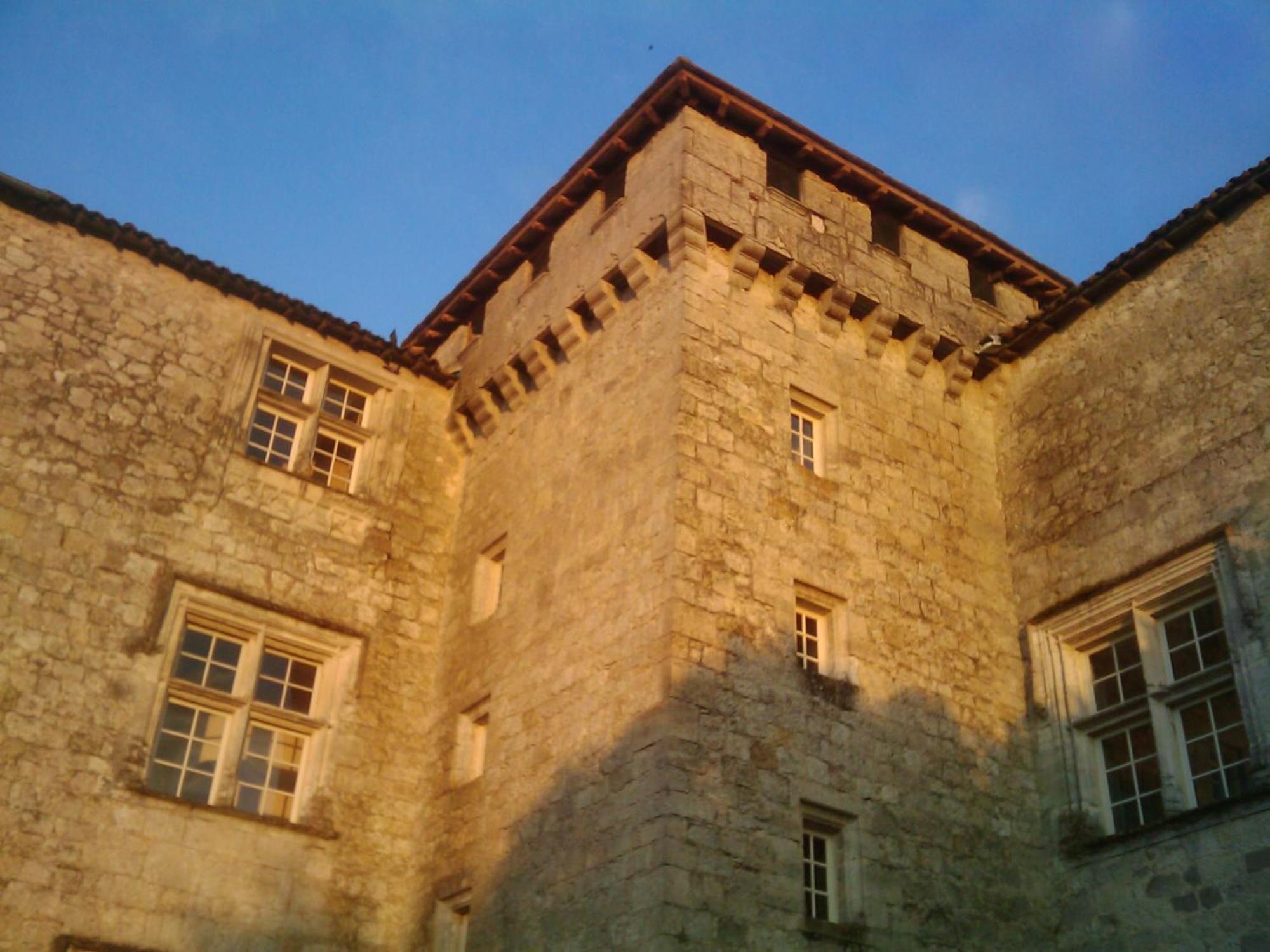 Chateau De Fources Bagian luar foto